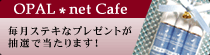 OPAL net cafe �����X�e�L�ȃv���[���g�����I�œ�����܂��I